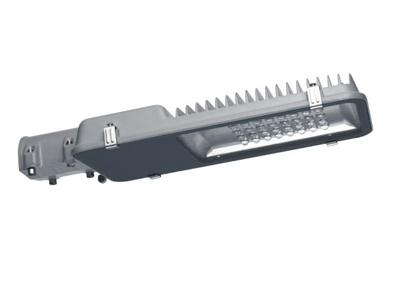 XYL013